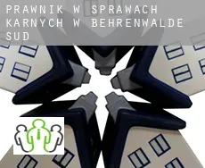 Prawnik w sprawach karnych w  Behrenwalde Süd