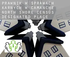 Prawnik w sprawach karnych w  Camanche North Shore