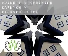 Prawnik w sprawach karnych w  Dickscheheide