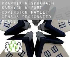 Prawnik w sprawach karnych w  Fort Covington Hamlet