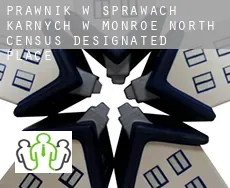 Prawnik w sprawach karnych w  Monroe North