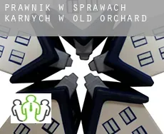 Prawnik w sprawach karnych w  Old Orchard