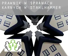 Prawnik w sprawach karnych w  Stahlhammer