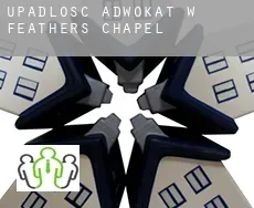 Upadłość adwokat w  Feathers Chapel