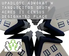 Upadłość adwokat w  Tanquecitos South Acres II