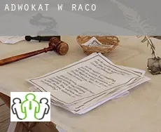 Adwokat w  Raco