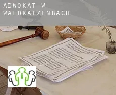 Adwokat w  Waldkatzenbach