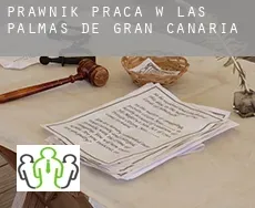 Prawnik praca w  Las Palmas de Gran Canaria