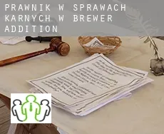 Prawnik w sprawach karnych w  Brewer Addition