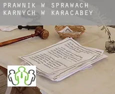 Prawnik w sprawach karnych w  Karacabey