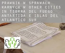Prawnik w sprawach karnych w  Other cities in Tierra del Fuego, Antartida e Islas del Atlantico Sur