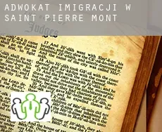 Adwokat imigracji w  Saint-Pierre-du-Mont
