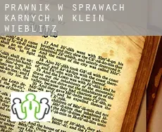 Prawnik w sprawach karnych w  Klein Wieblitz