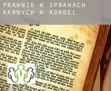 Prawnik w sprawach karnych w  Kordel