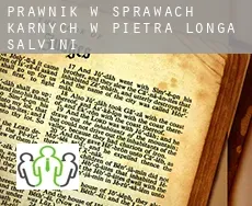 Prawnik w sprawach karnych w  Pietra Longa Salvini