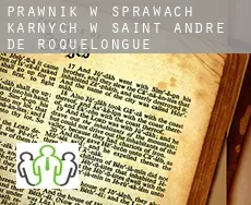 Prawnik w sprawach karnych w  Saint-André-de-Roquelongue