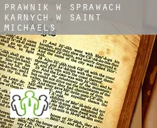 Prawnik w sprawach karnych w  Saint Michaels