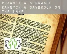 Prawnik w sprawach karnych w  Saybrook-on-the-lake