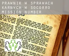 Prawnik w sprawach karnych w  Socorro Mission Number 1 Colonia