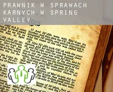 Prawnik w sprawach karnych w  Spring Valley