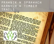 Prawnik w sprawach karnych w  Timber Trails