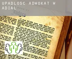 Upadłość adwokat w Adial