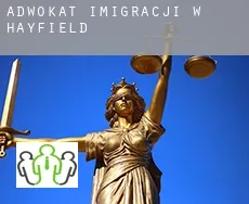 Adwokat imigracji w  Hayfield