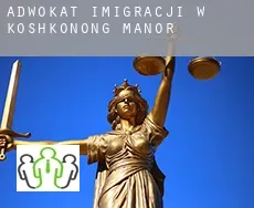 Adwokat imigracji w  Koshkonong Manor