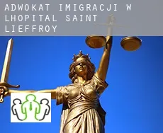 Adwokat imigracji w  L'Hôpital-Saint-Lieffroy