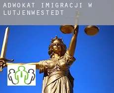 Adwokat imigracji w  Lütjenwestedt