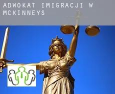 Adwokat imigracji w  McKinneys