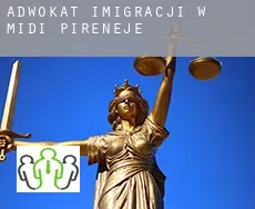Adwokat imigracji w  Midi-Pireneje