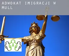 Adwokat imigracji w  Mull