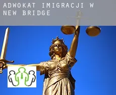 Adwokat imigracji w  New Bridge