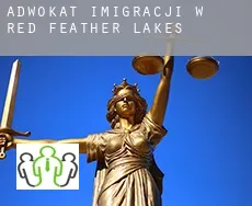Adwokat imigracji w  Red Feather Lakes