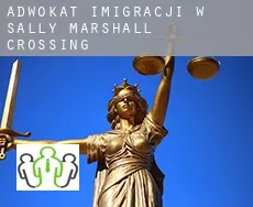 Adwokat imigracji w  Sally Marshall Crossing