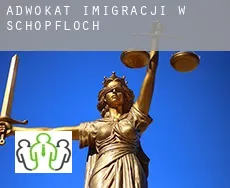 Adwokat imigracji w  Schopfloch