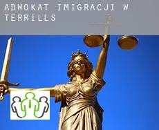 Adwokat imigracji w  Terrills