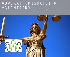 Adwokat imigracji w  Valentigny