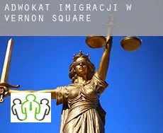 Adwokat imigracji w  Vernon Square
