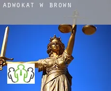 Adwokat w  Brown