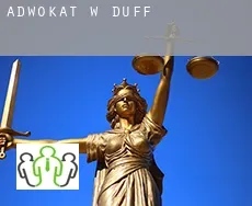 Adwokat w  Duff