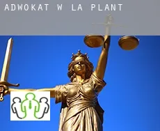 Adwokat w  La Plant
