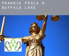 Prawnik praca w Buffalo Lake