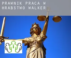 Prawnik praca w  Hrabstwo Walker