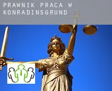 Prawnik praca w  Konradinsgrund