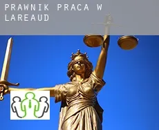 Prawnik praca w  Lareaud