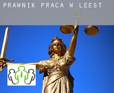 Prawnik praca w  Leest