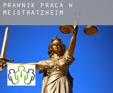 Prawnik praca w  Meistratzheim