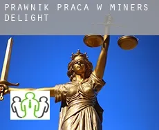Prawnik praca w  Miners Delight